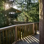Baumhotel Hotel