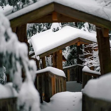 Baumhotel Kopfing im Innkreis