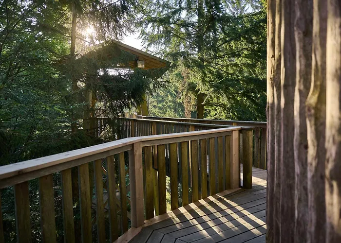 Baumhotel Ξενοδοχείο