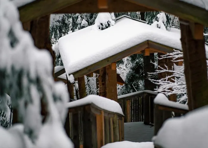 Baumhotel Kopfing im Innkreis