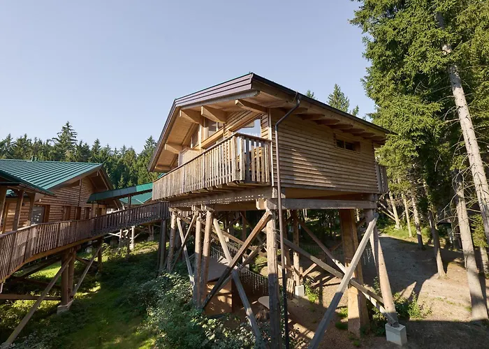 Baumhotel Ξενοδοχείο *