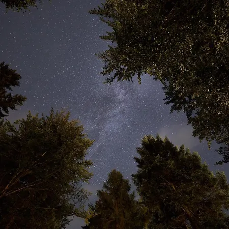 Baumhotel Hotel Kopfing im Innkreis