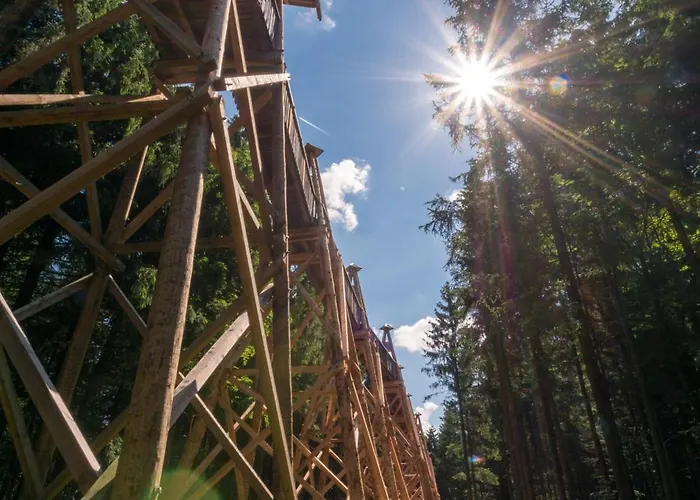 Baumhotel Kopfing im Innkreis