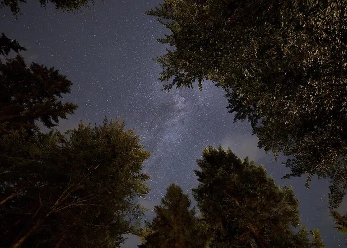 Baumhotel Otel Kopfing im Innkreis